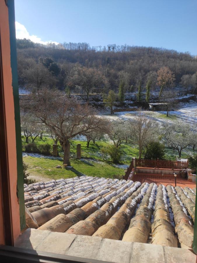 B&B I Martelli Trevi Dış mekan fotoğraf